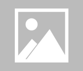 开云登录通道-击穿长夜的光，科维托娃关键节点回归赛场，美国队带队取胜诠释体育魂，科维托娃破夜复出助美国队夺胜，闪耀赛场诠释不灭体育魂