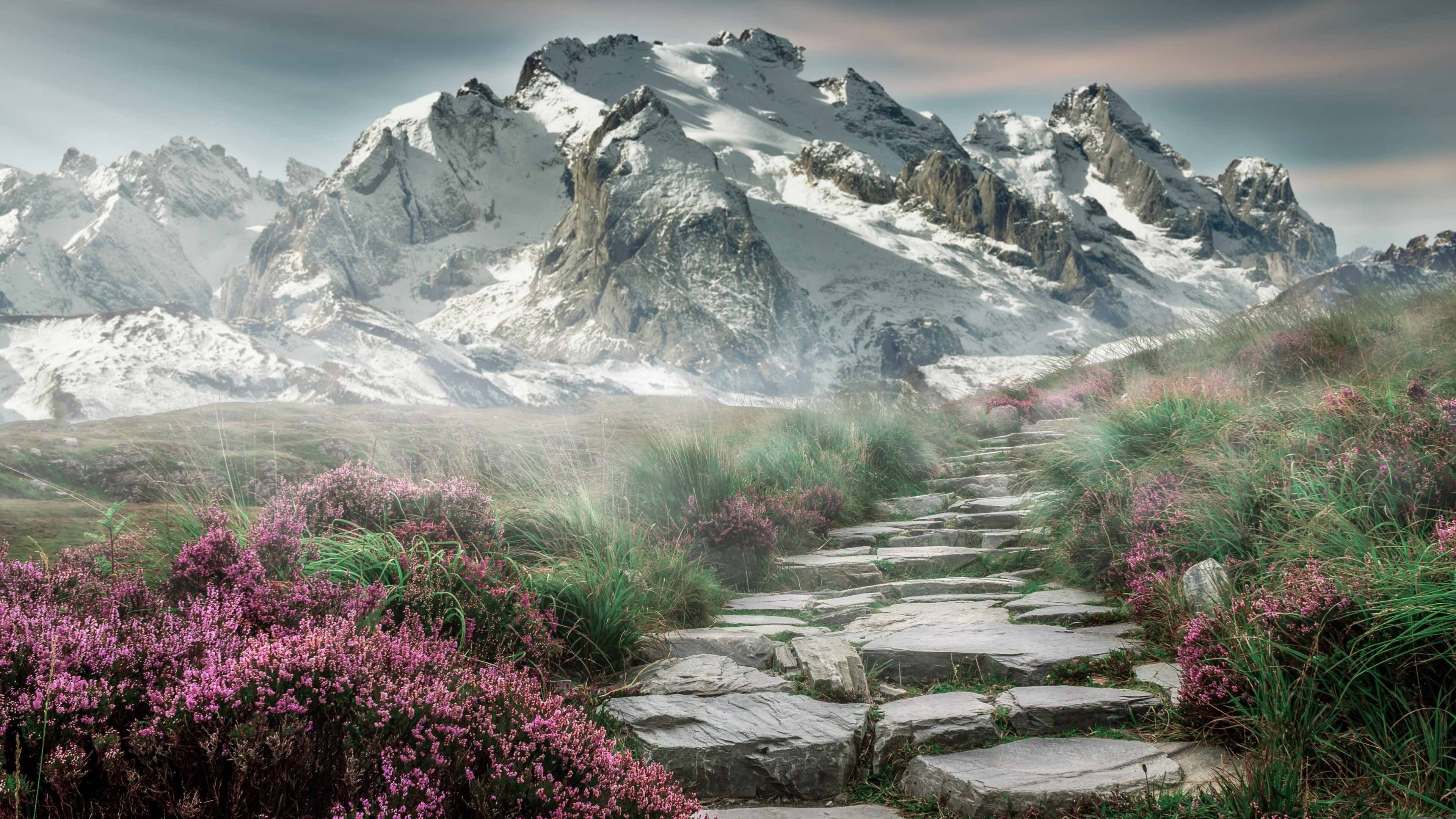 v7.2.5 稳定版正式发布，2026年3月20日，开启高效与可靠的新篇章